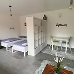 Apartment Messeapartment Dutzendteich Nuremberg