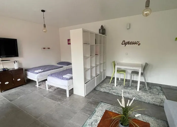 Apartment Messeapartment Dutzendteich Nürnberg